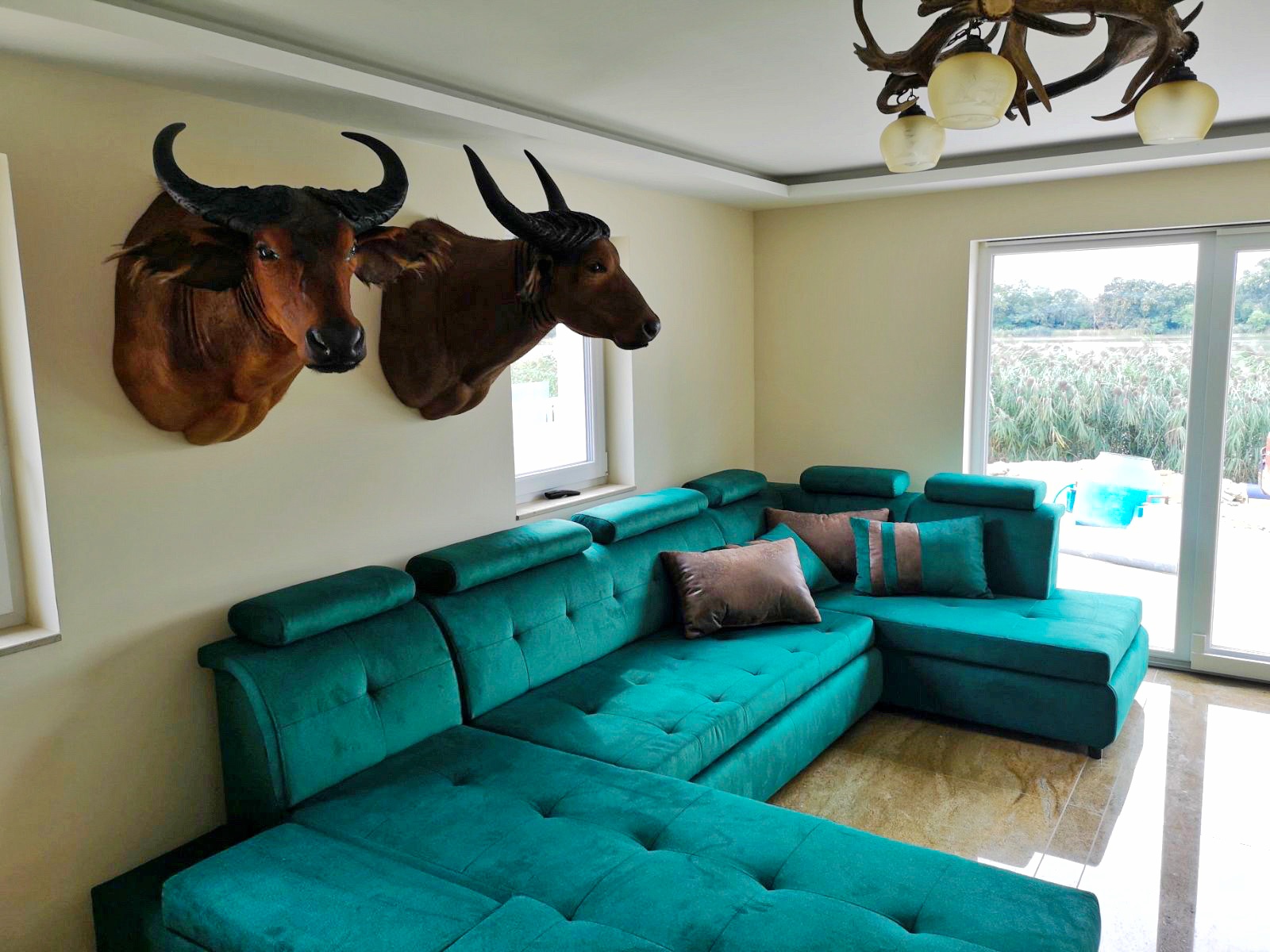 03D86451-D999-4580-8351-B5ABDB792B8A-01